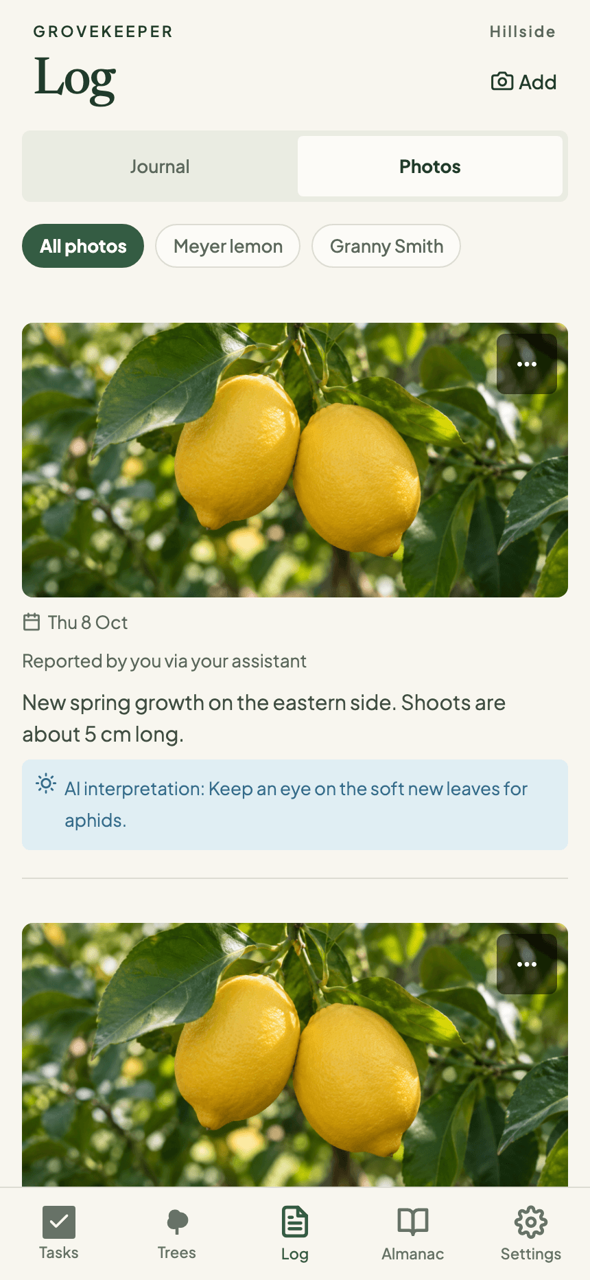 Grovekeeper’s photo journal with dated Meyer lemon photos and the grower’s observation.